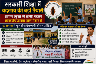 government-school-social-audit image source is chat GPT